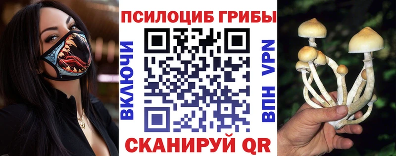Галлюциногенные грибы GOLDEN TEACHER  Купить где  Выкса 